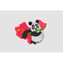China Map With Panda Sticker - DecalsHouse