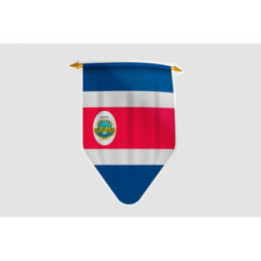 Costa Rica Flag Pennat Style 4 Sticker - DecalsHouse