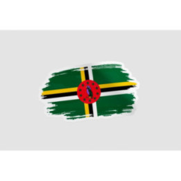 Dominica Brush Flag Sticker - DecalsHouse