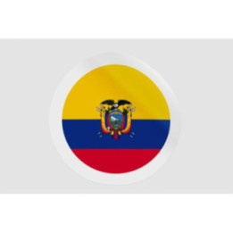 Ecuador Flag Badge Style 10 - DecalsHouse