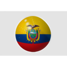 Ecuador Flag Ball - DecalsHouse
