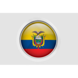 Ecuador Flag Bevel Style 4 - DecalsHouse