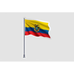 Ecuador Flag Pole Style 2 - DecalsHouse