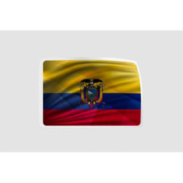 Ecuador Flag Style 4 - DecalsHouse