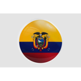 Ecuador Flag Style 6 - DecalsHouse