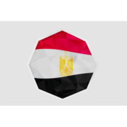 Egypt Flag Octagone - DecalsHouse