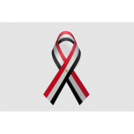 Egypt Flag Ribbon - DecalsHouse