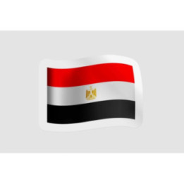 Egypt Flag Style 17 - DecalsHouse
