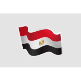 Egypt Flag Waving Style 3 - DecalsHouse