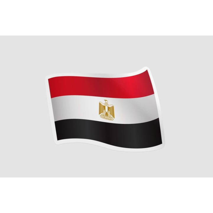 Egypt Flag Waving Style 4 - DecalsHouse