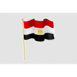 Egypt Flag Waving Style 6 - DecalsHouse
