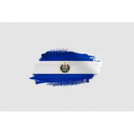 El Salvador Flag Brush - DecalsHouse