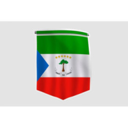 Equatorial Guinea Flag Pennant - DecalsHouse