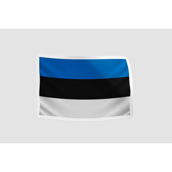 Estonia Flag Hanging - DecalsHouse