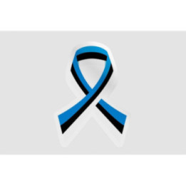 Estonia Flag Ribbon Style 2 - DecalsHouse
