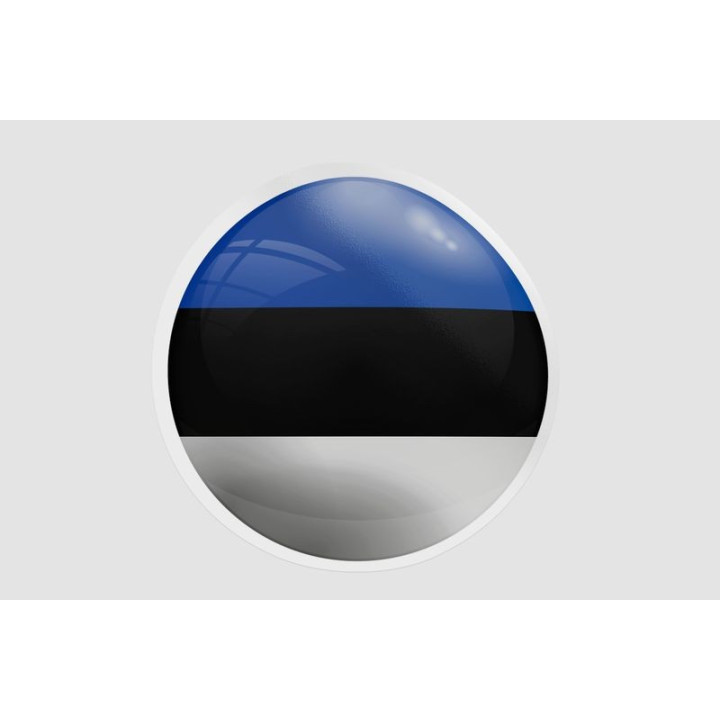 Estonia Flag Style 8 - DecalsHouse