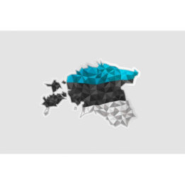 Estonia Map Flag Style 5 - DecalsHouse