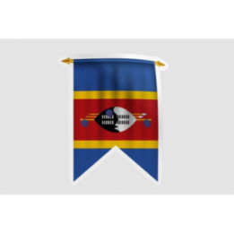 Eswatini Flag Pennant Style 6 - DecalsHouse