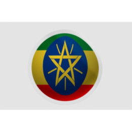 Ethiopia Flag Ball - DecalsHouse