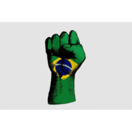 Fist With Brazil Insignia Sticker - DecalsHouse