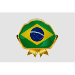 Flag Badge Of Brazil Style 3 Sticker - DecalsHouse
