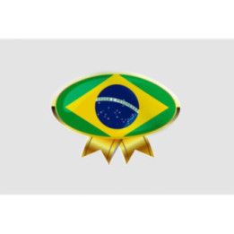 Flag Badge Of Brazil Style 8 Sticker - DecalsHouse