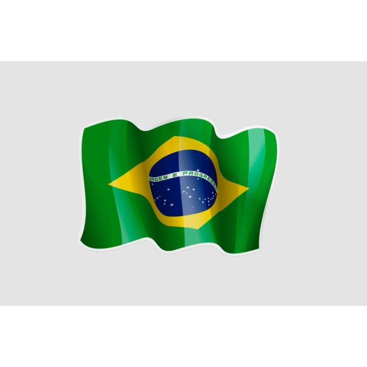Flag Of Brazil Style 11 Sticker - DecalsHouse