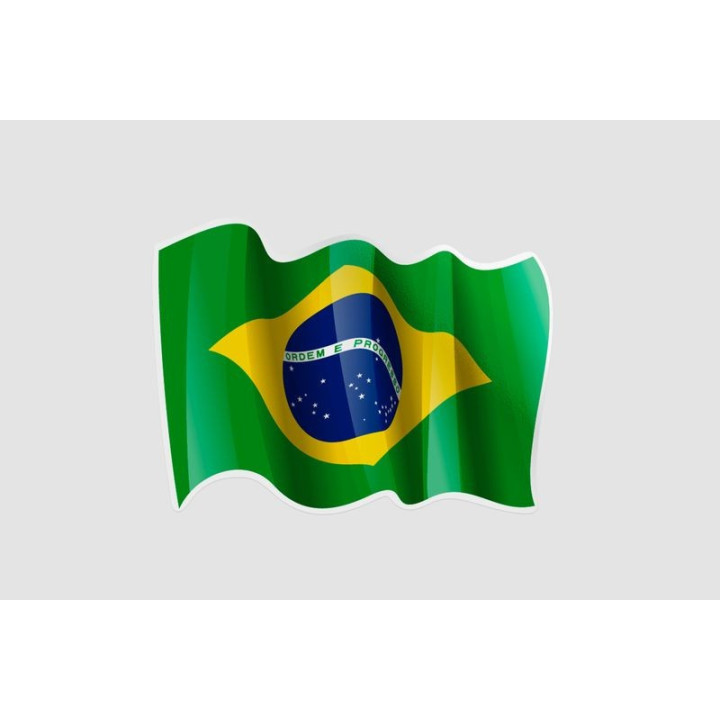 Flag Of Brazil Style 12 Sticker - DecalsHouse