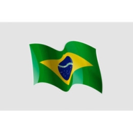 Flag Of Brazil Style 4 Sticker - DecalsHouse