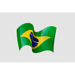 Flag Of Brazil Style 6 Sticker - DecalsHouse