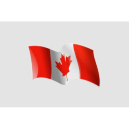 Flag Of Canada Style 4 Sticker - DecalsHouse