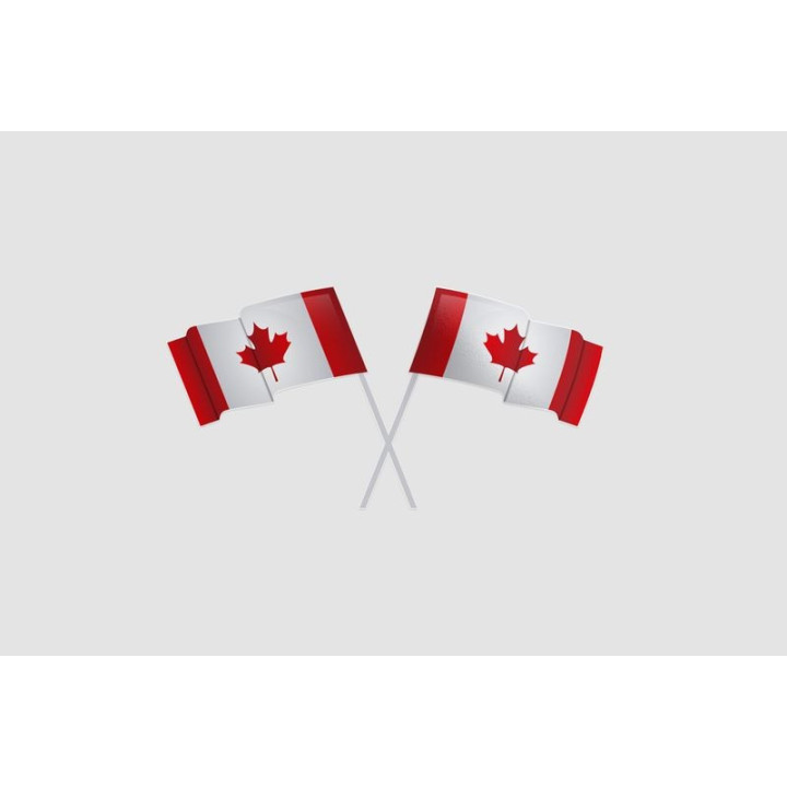 Flags Of Canada Patriotic In Stick Crossed Sticker - DecalsHouse