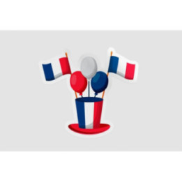 France Bastille 13 - DecalsHouse