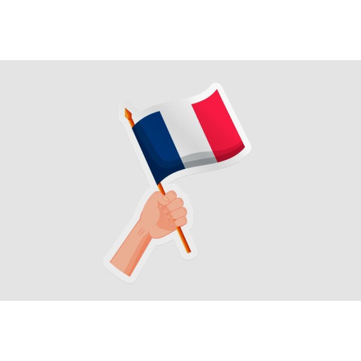 France Bastille 16 - DecalsHouse