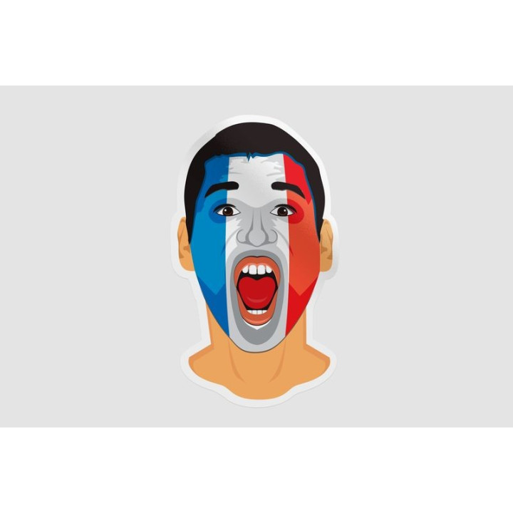 France Fan Face - DecalsHouse