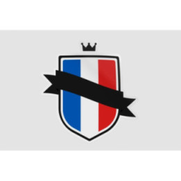 France Flag Badge Style 11 - DecalsHouse