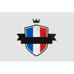 France Flag Badge Style 12 - DecalsHouse
