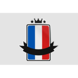 France Flag Badge Style 14 - DecalsHouse