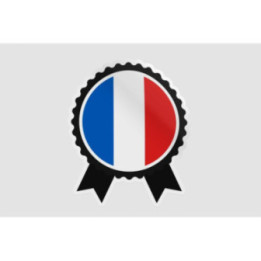 France Flag Badge Style 15 - DecalsHouse