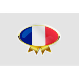 France Flag Badge Style 2 - DecalsHouse