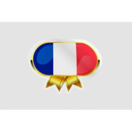 France Flag Badge Style 5 - DecalsHouse