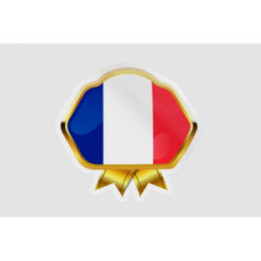 France Flag Badge Style 8 - DecalsHouse
