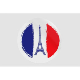 France Flag Colors Style 2 - DecalsHouse