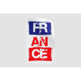 France Flag Colors Style 4 - DecalsHouse