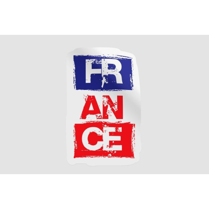 France Flag Colors Style 4 - DecalsHouse