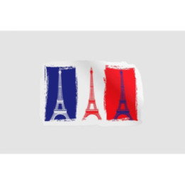 France Flag Colors Style 5 - DecalsHouse