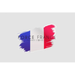 France Flag Covid - DecalsHouse