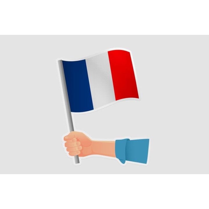 France Flag Hand Style 2 - DecalsHouse