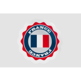 France Flag Icon Style 12 - DecalsHouse