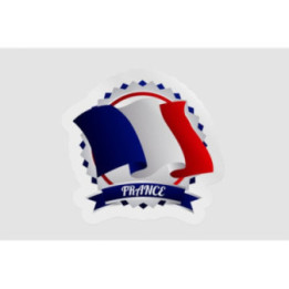France Flag Icon Style 14 - DecalsHouse